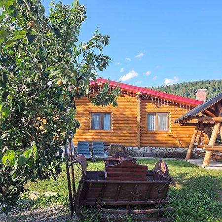 Cabana Alesia, Relaxare La Poalele Raraului Câmpulung Moldovenesc Exterior foto