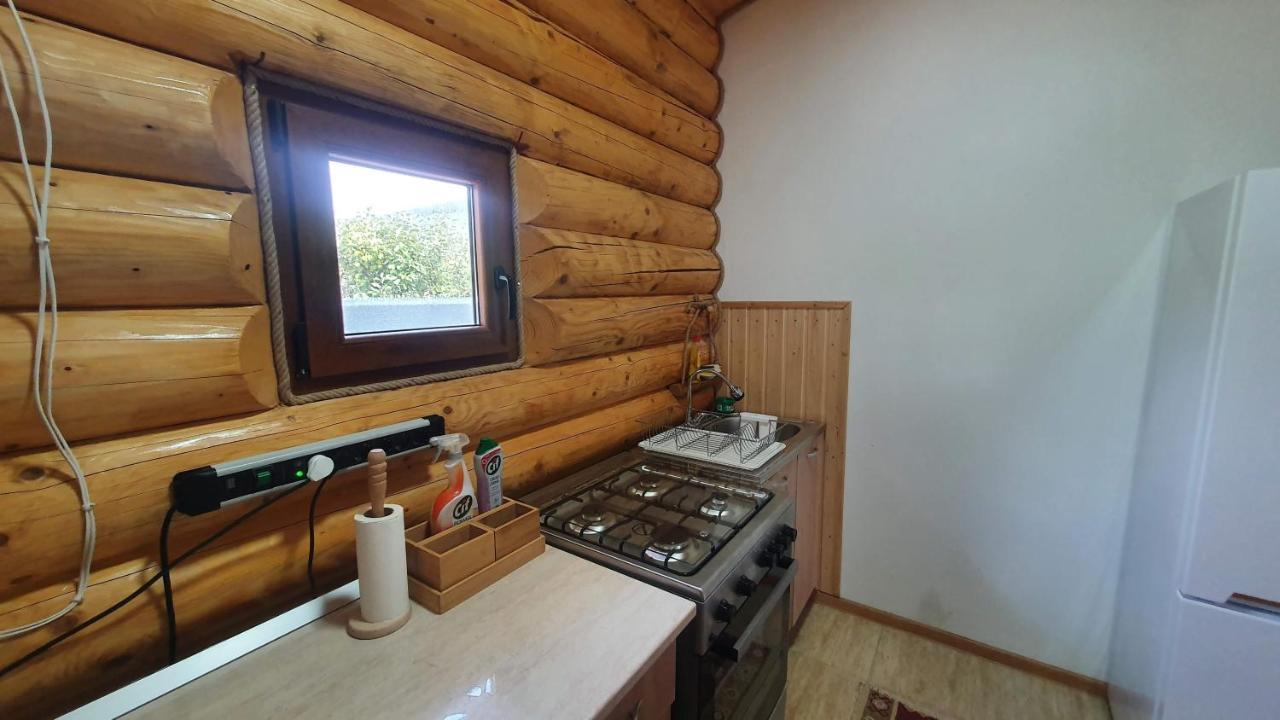 Cabana Alesia, Relaxare La Poalele Raraului Câmpulung Moldovenesc Exterior foto