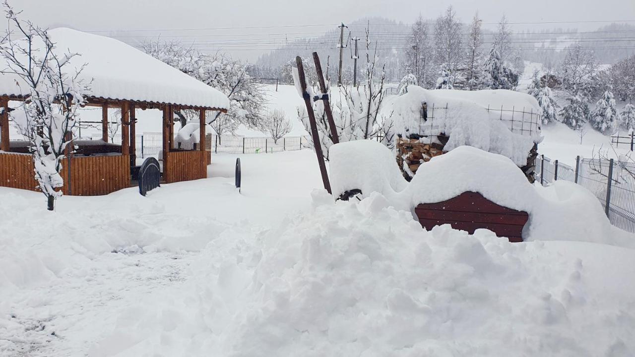 Cabana Alesia, Relaxare La Poalele Raraului Câmpulung Moldovenesc Exterior foto