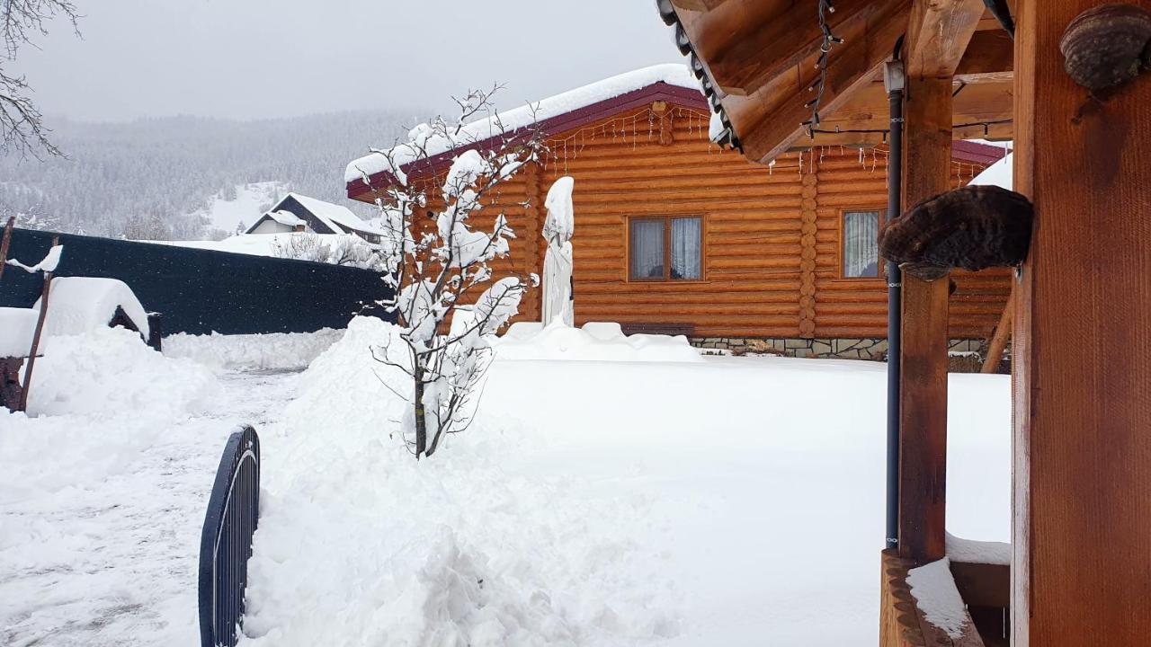 Cabana Alesia, Relaxare La Poalele Raraului Câmpulung Moldovenesc Exterior foto